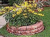 RUDBECKIA - INDIAN SUMMER
