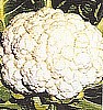CAULIFLOWER