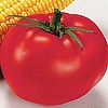 TOMATO - BETTER BOY