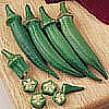 OKRA - CLEMSON SPINELESS