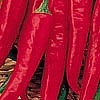 PEPPER - CAYENNE (HOT)