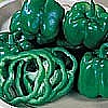 PEPPER - GREEN BELL