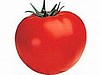 TOMATO - SUNMASTER